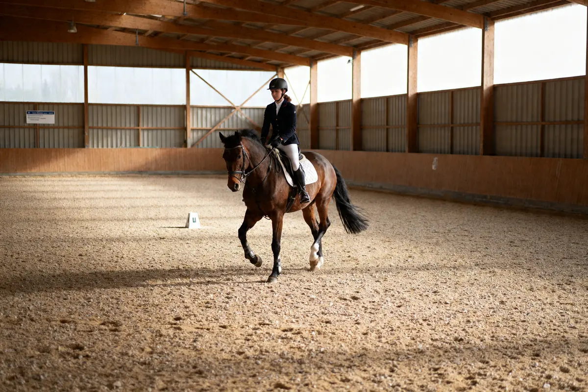 Carrière en équitation : guide essentiel pour une installation parfaite