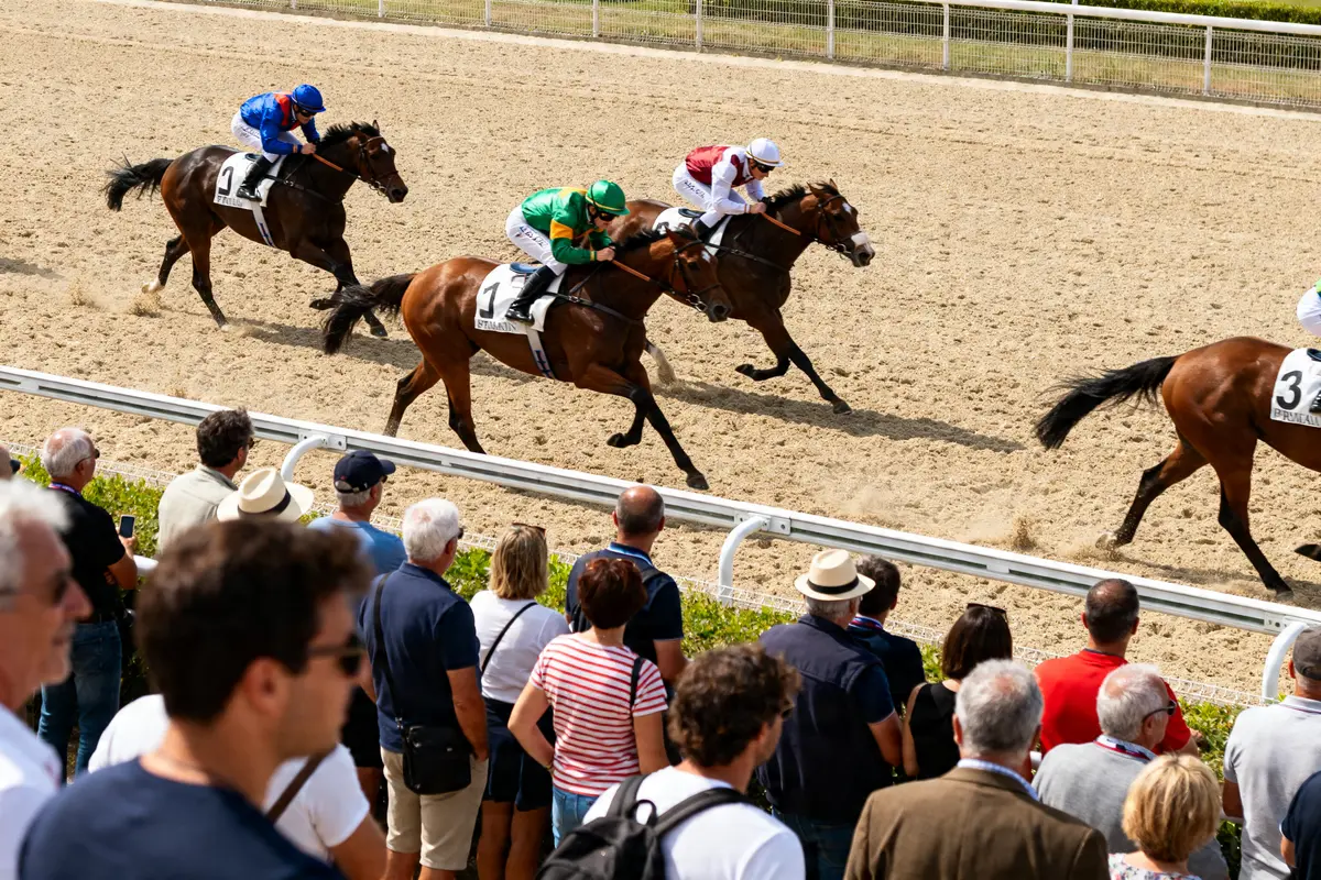 Courses hippiques de Deauville : programme, pronostics et événements