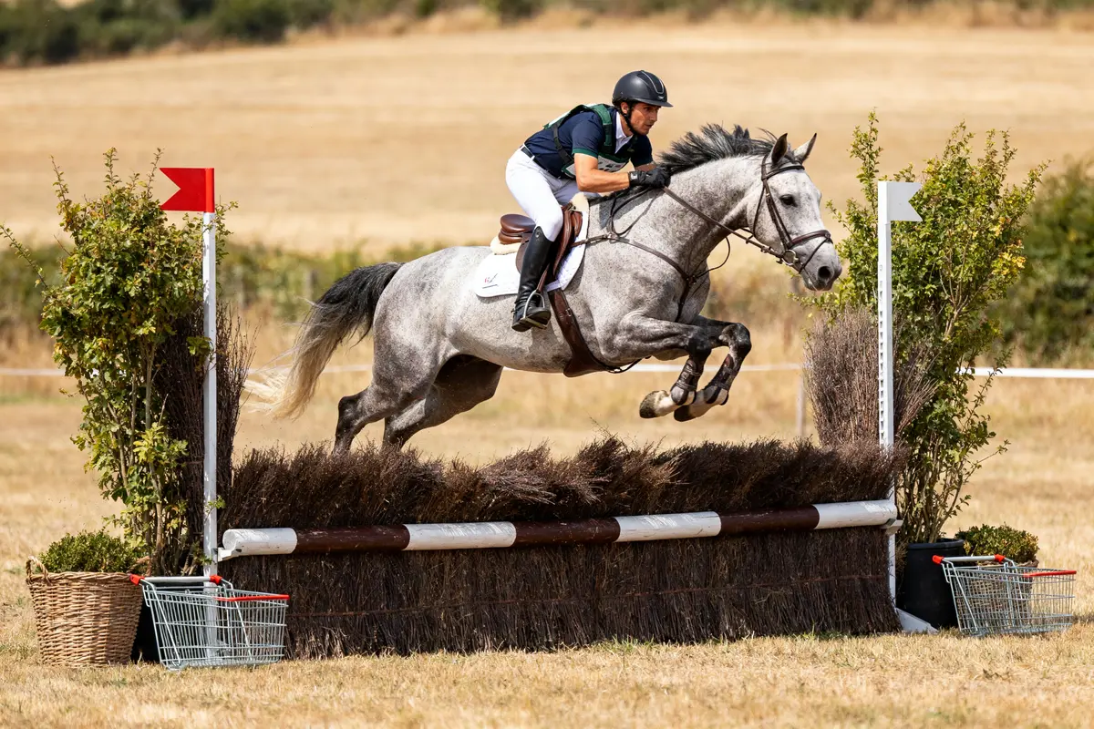 Cavalier franchissant un obstacle avec un cheval d'obstacle gris sur terrain ensoleillé