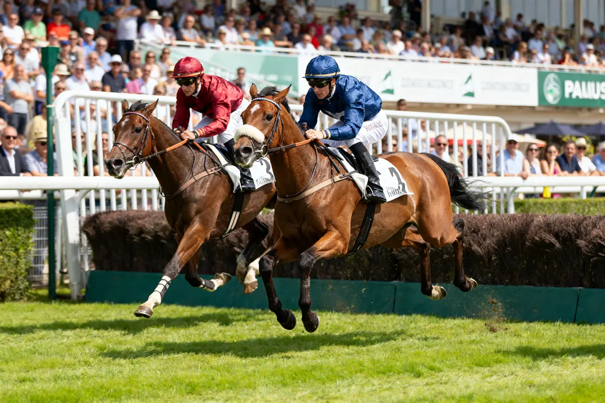 Hippodrome de Pau : courses, événements et infos pratiques