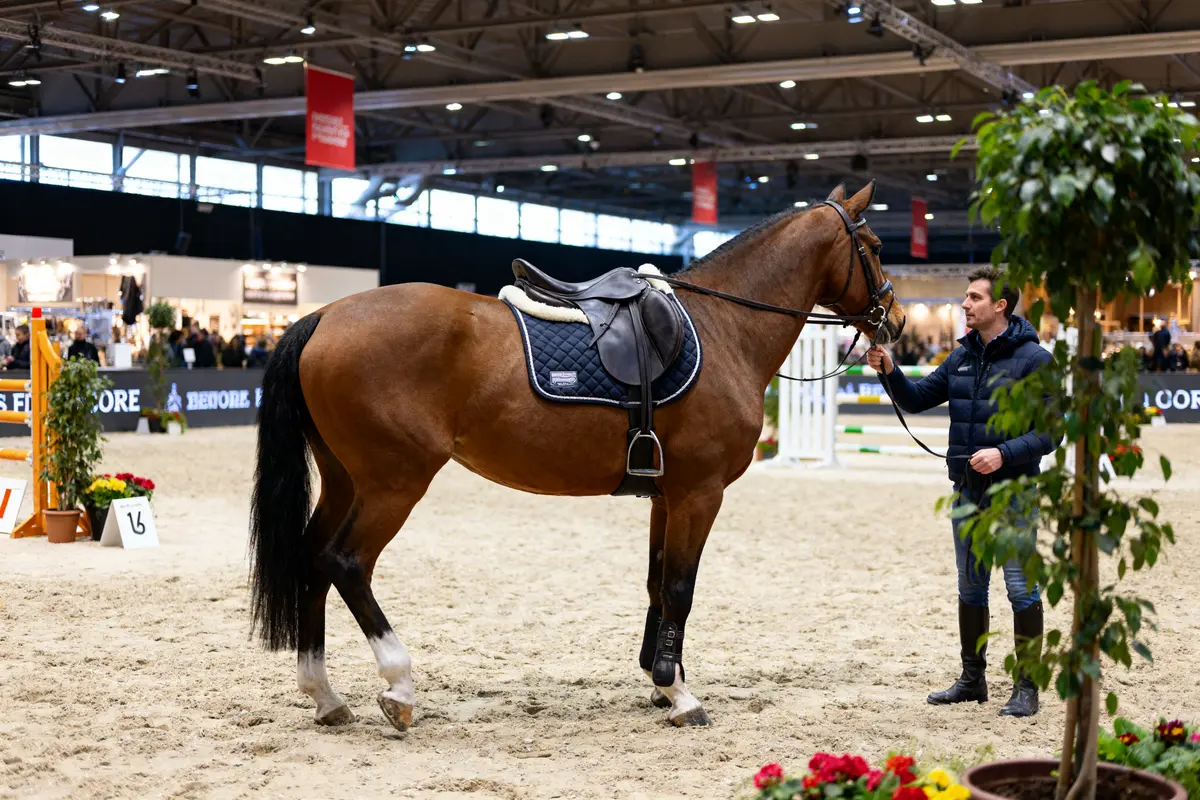 Salon du cheval de Paris 2026 : Programme, tarifs et billetterie