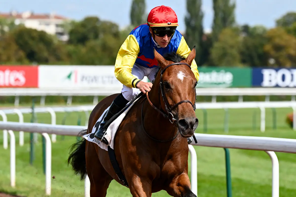 Jockey : métier, salaire et formation pour réussir