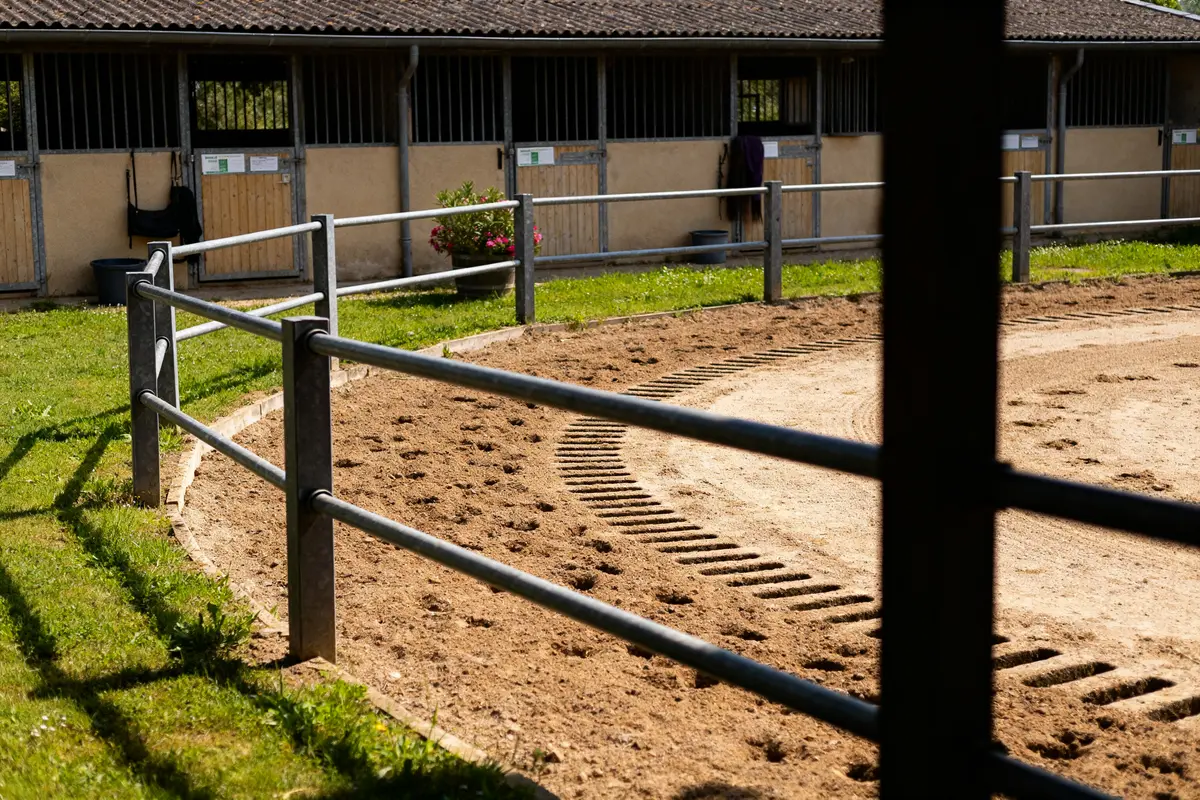 Paddock pour cheval : conception, entretien et aménagement idéal