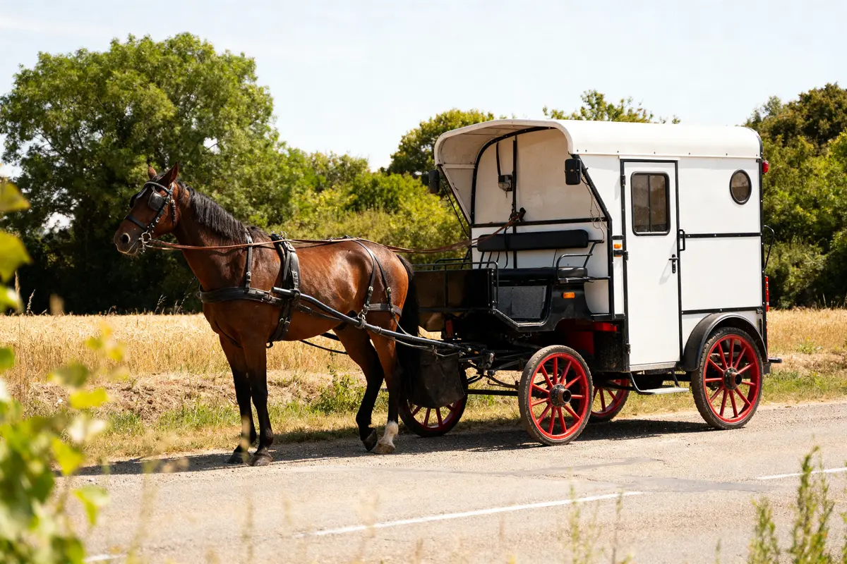 Voiture pour chevaux : guide d’achat, types et conseils
