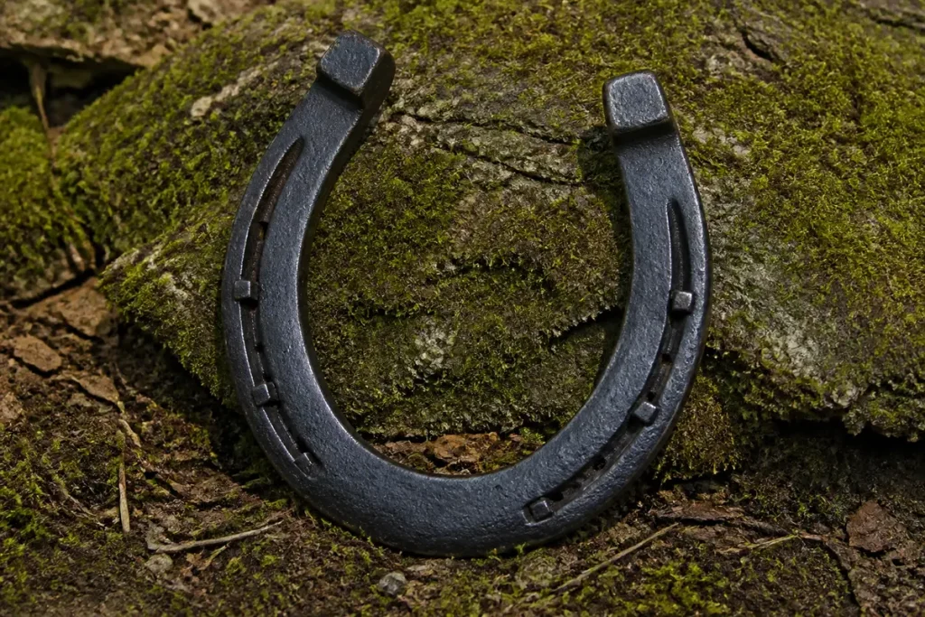 Fer à cheval porte bonheur posé sur sol moussu et terreux en forêt