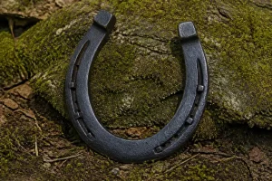 Fer à cheval porte bonheur posé sur sol moussu et terreux en forêt