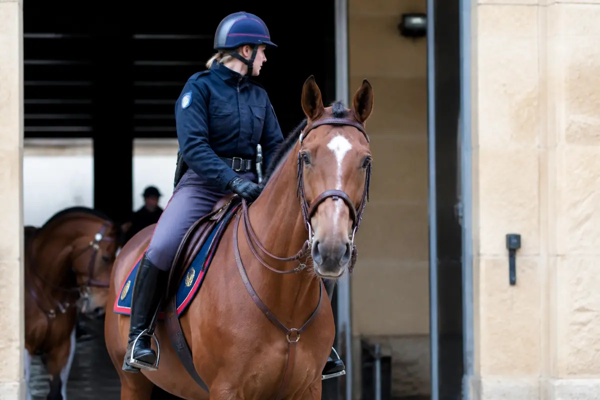 Garde républicaine cheval : Rôle, cavaliers et cavalerie