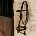 Pièce de harnais attachée à un mur en pierre dans une écurie